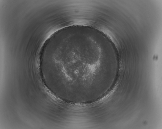 X0000097510923200802221503