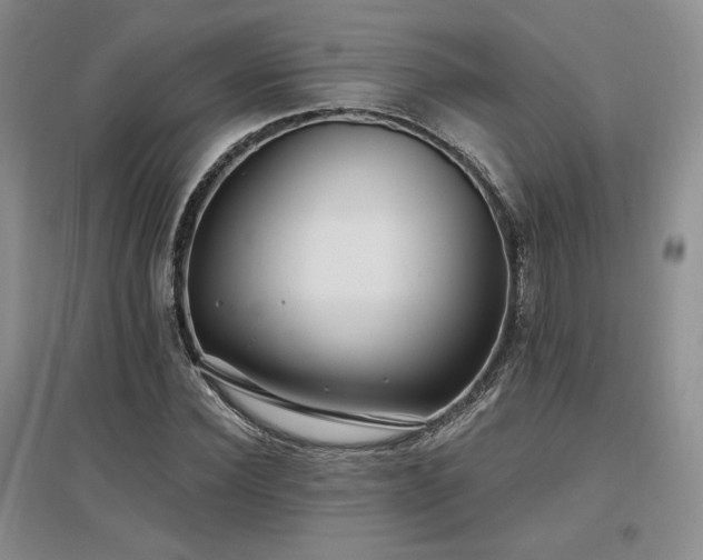X0000097510924200802221503