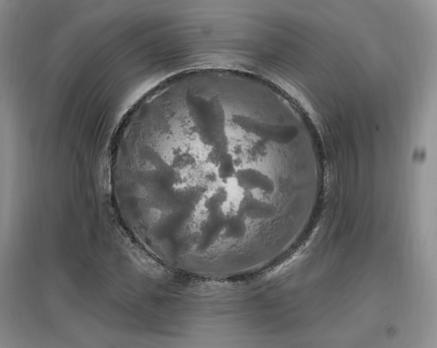 X0000097510925200802221503