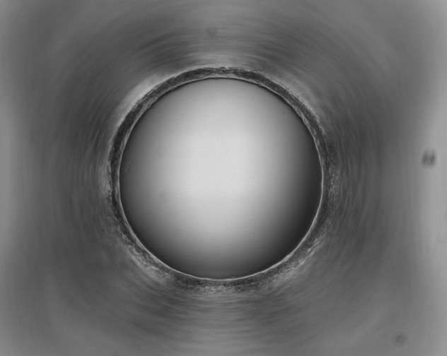 X0000097510927200802221503