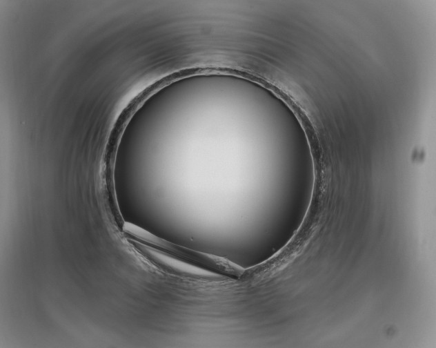 X0000097510928200802221503