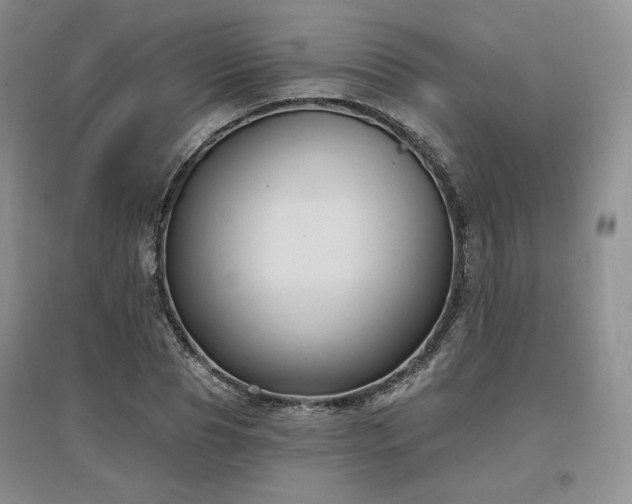 X0000097510929200802221503