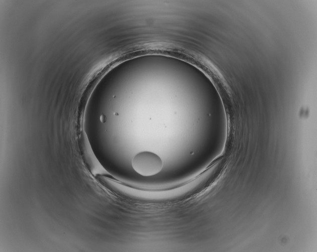 X0000097510930200802221503