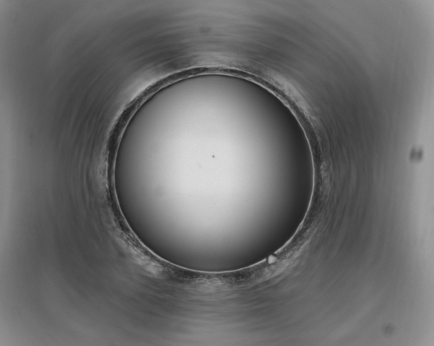 X0000097510931200802221503