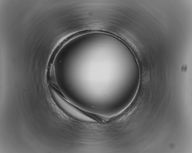 X0000097510932200802221503