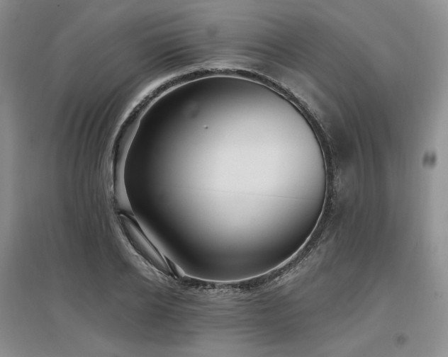 X0000097510934200802221503