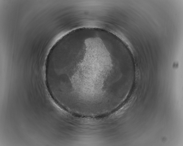 X0000097510935200802221503