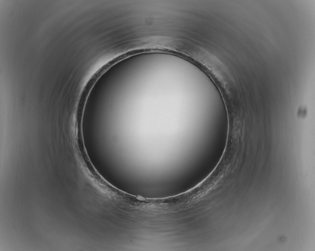 X0000097510936200802221503
