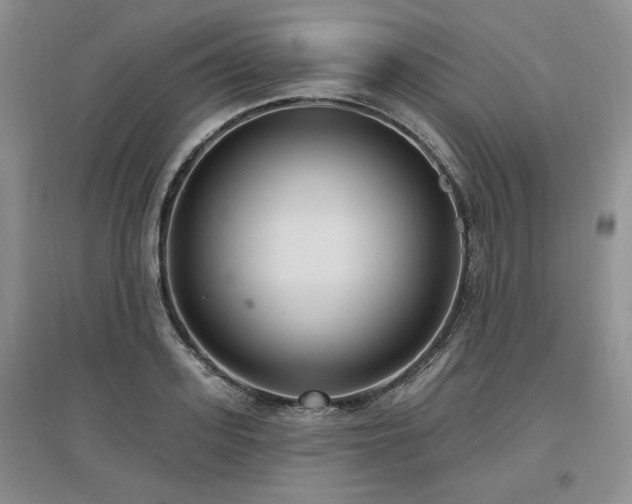 X0000097510939200802221504