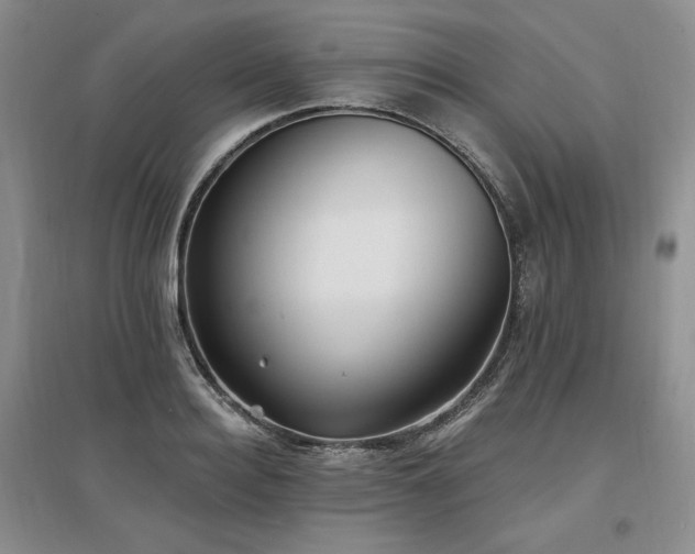 X0000097510940200802221504