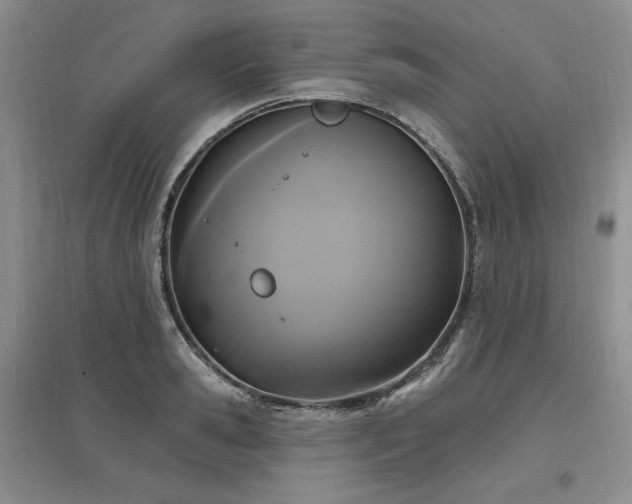 X0000097510941200802221504