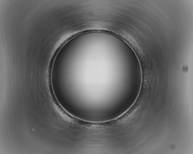 X0000097510942200802221504