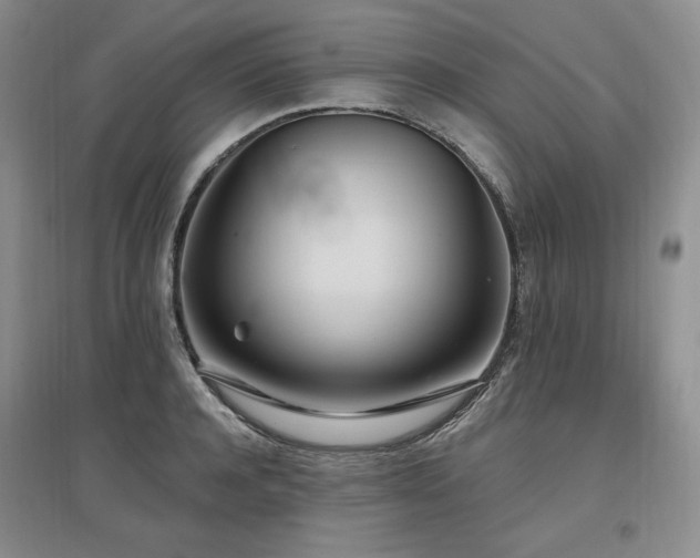 X0000097510944200802221504
