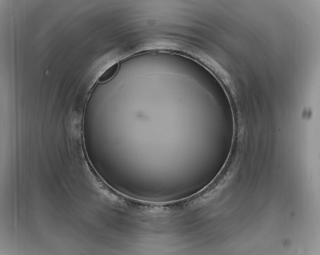 X0000097510945200802221504