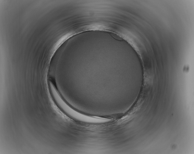 X0000097510946200802221504