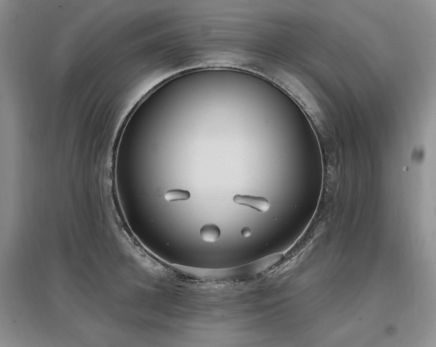 X0000097510948200802221504