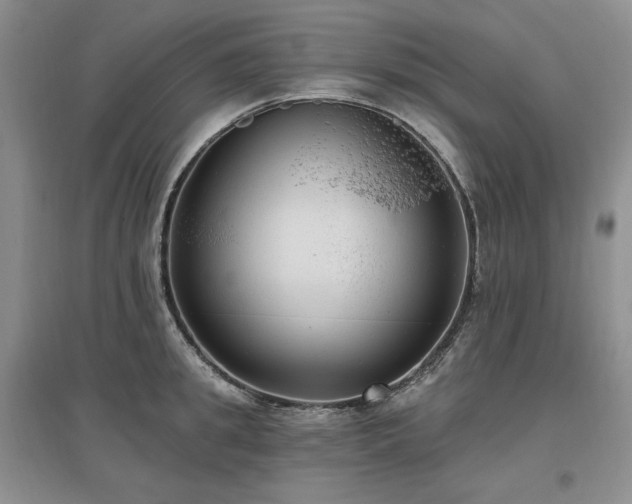 X0000097510949200802221504