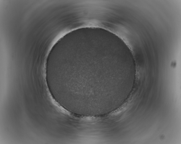 X0000097510950200802221504