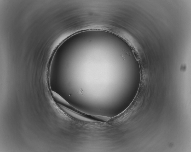 X0000097510952200802221504