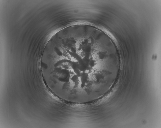 X0000097510953200802221504
