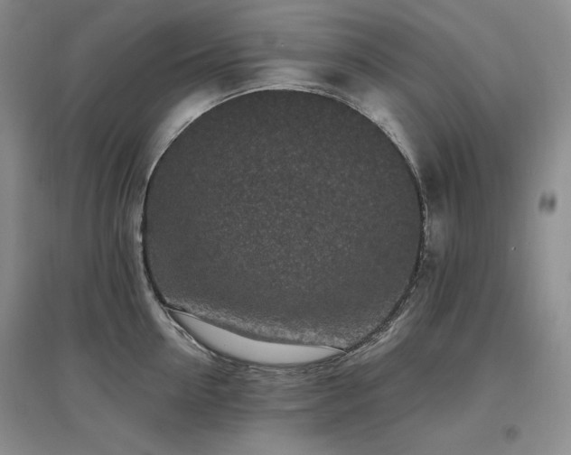 X0000097510954200802221504