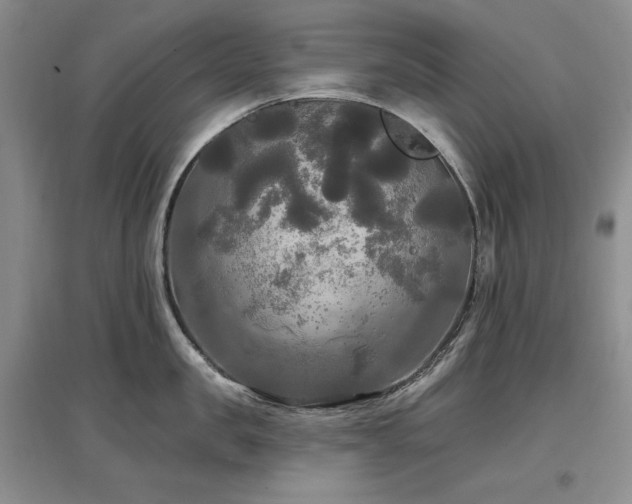 X0000097510957200802221504