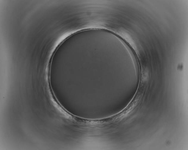 X0000097510958200802221504