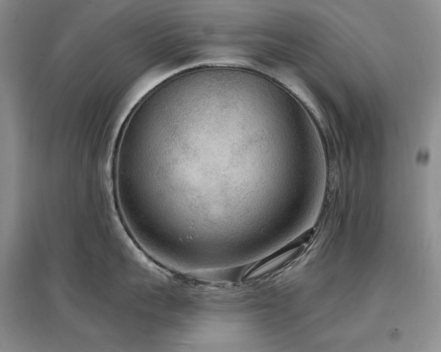 X0000097510959200802221504