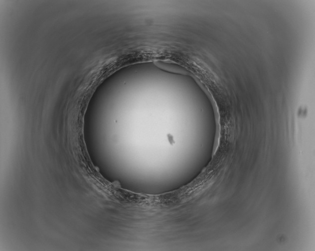 X0000097510961200802221503