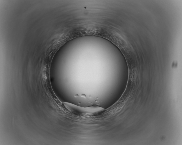 X0000097510962200802221503