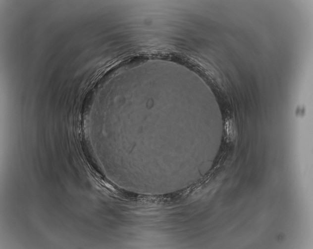 X0000097510963200802221503