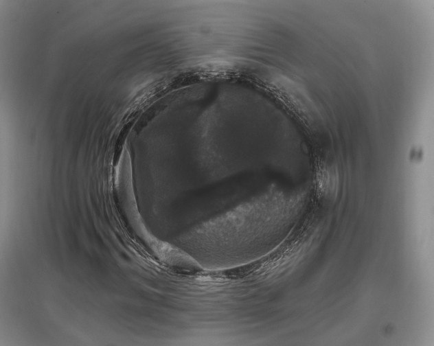 X0000097510964200802221503