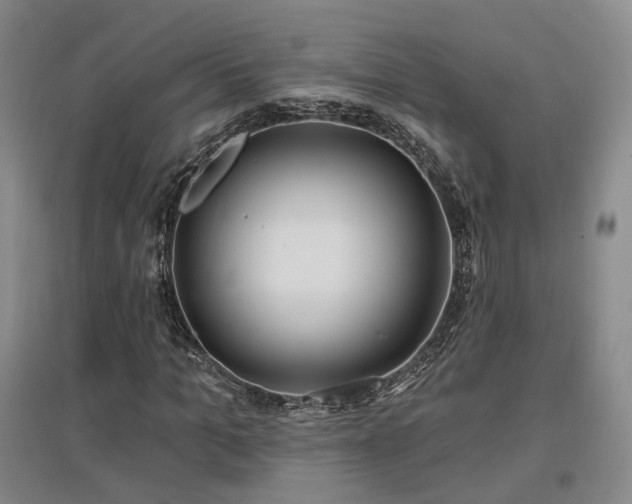 X0000097510965200802221503