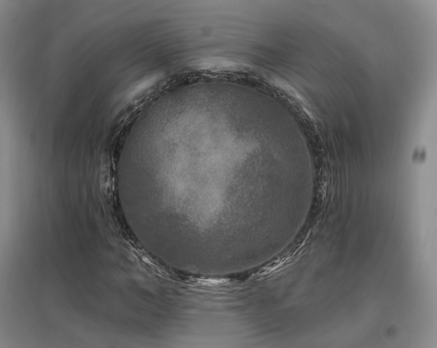 X0000097510966200802221503