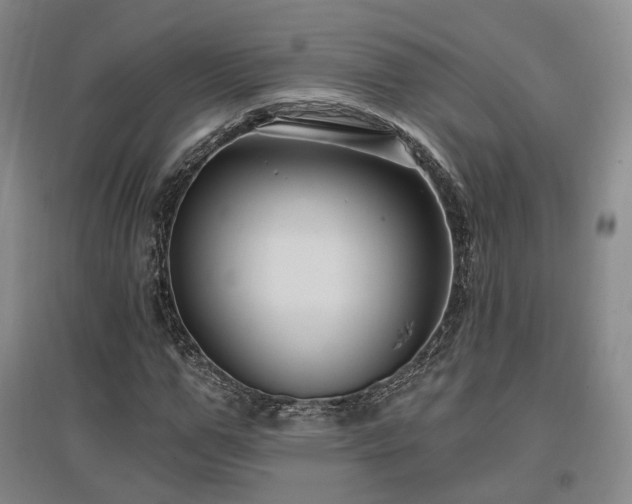 X0000097510967200802221503