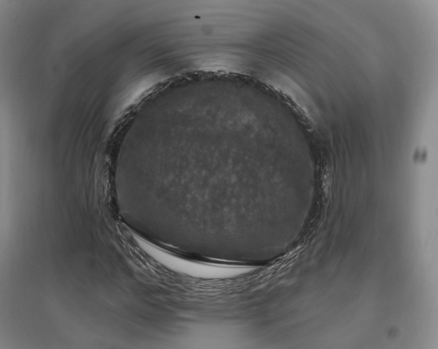 X0000097510968200802221503