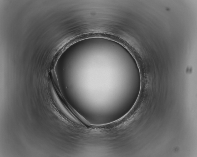 X0000097510969200802221503