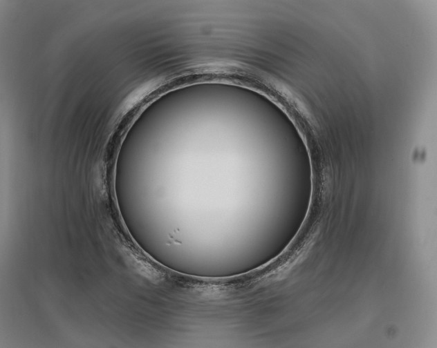 X0000097510970200802221503