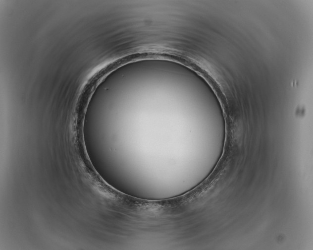 X0000097510971200802221503