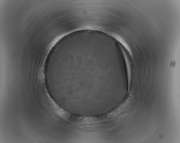 X0000097510972200802221503