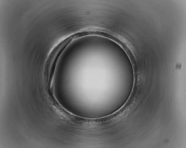 X0000097510973200802221503