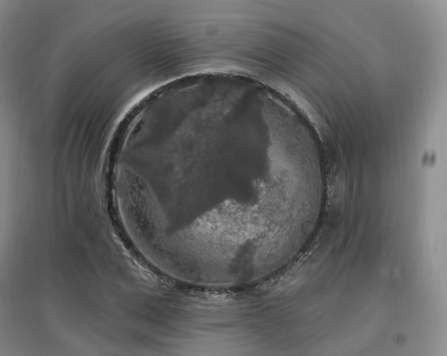 X0000097510975200802221503