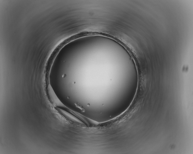 X0000097510976200802221503