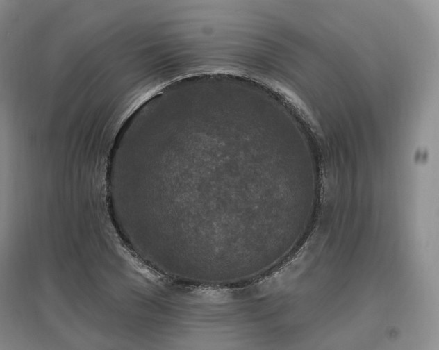 X0000097510977200802221503