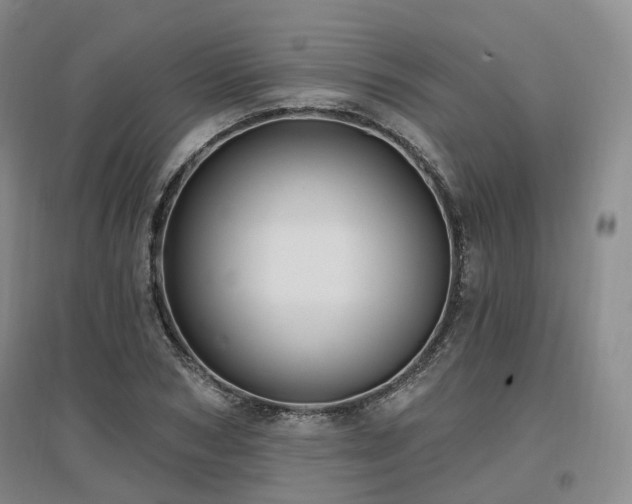 X0000097510978200802221503