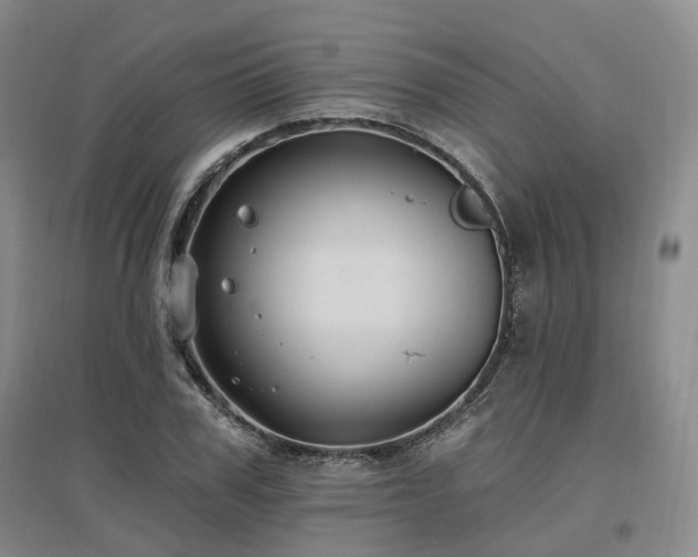 X0000097510979200802221503