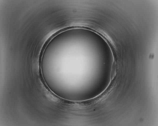 X0000097510980200802221503