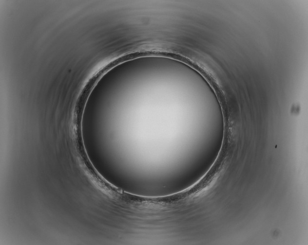 X0000097510981200802221503