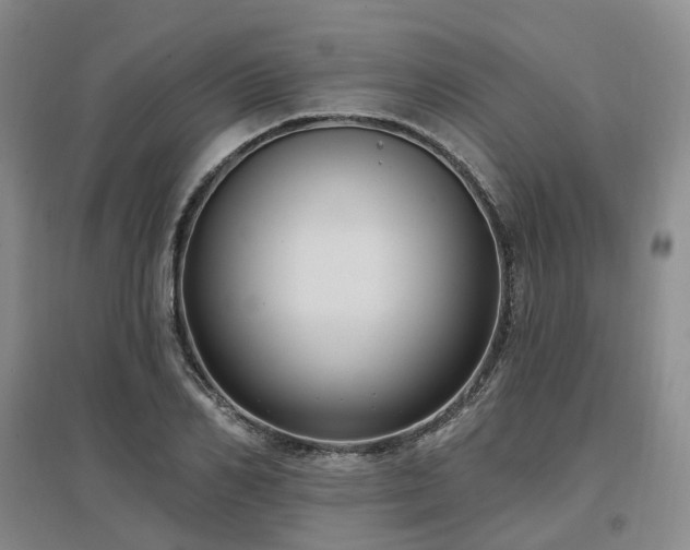 X0000097510982200802221503