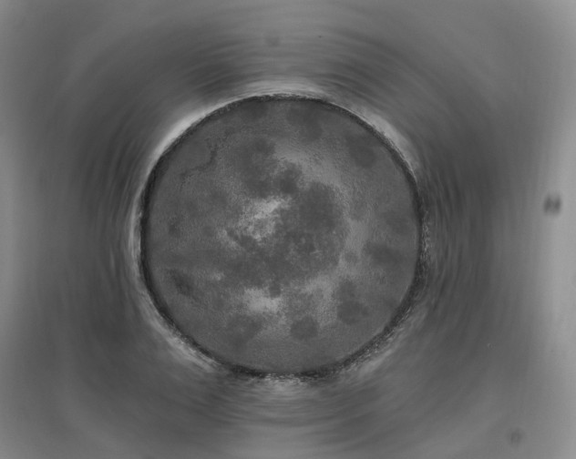 X0000097510983200802221503